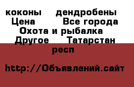 коконы    дендробены › Цена ­ 25 - Все города Охота и рыбалка » Другое   . Татарстан респ.